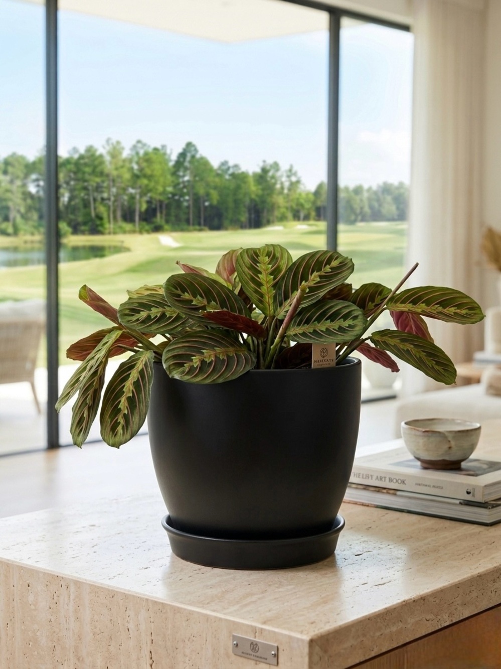 Black Ceramic Planter with Saucer 7.5 Inch, Flower Pot with Drainage Hole